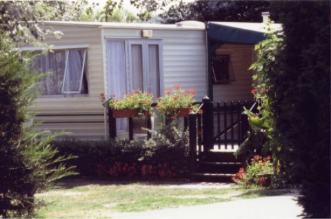 wmh09.jpg